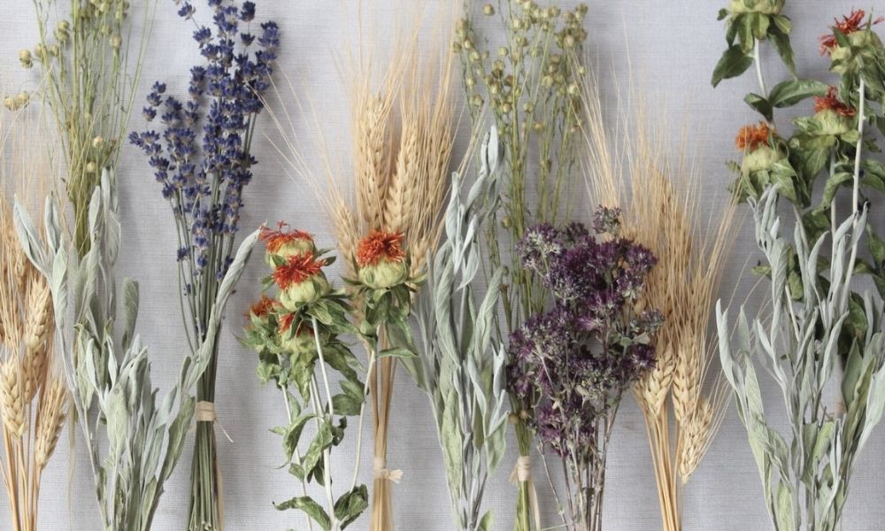 Everything You Need To Know About Dried Florals