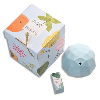 Essential Oil & Diffuser Gift Set - The Nature of Things
