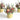 Botanica Collection Cup