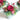 Fairyland Arrangement