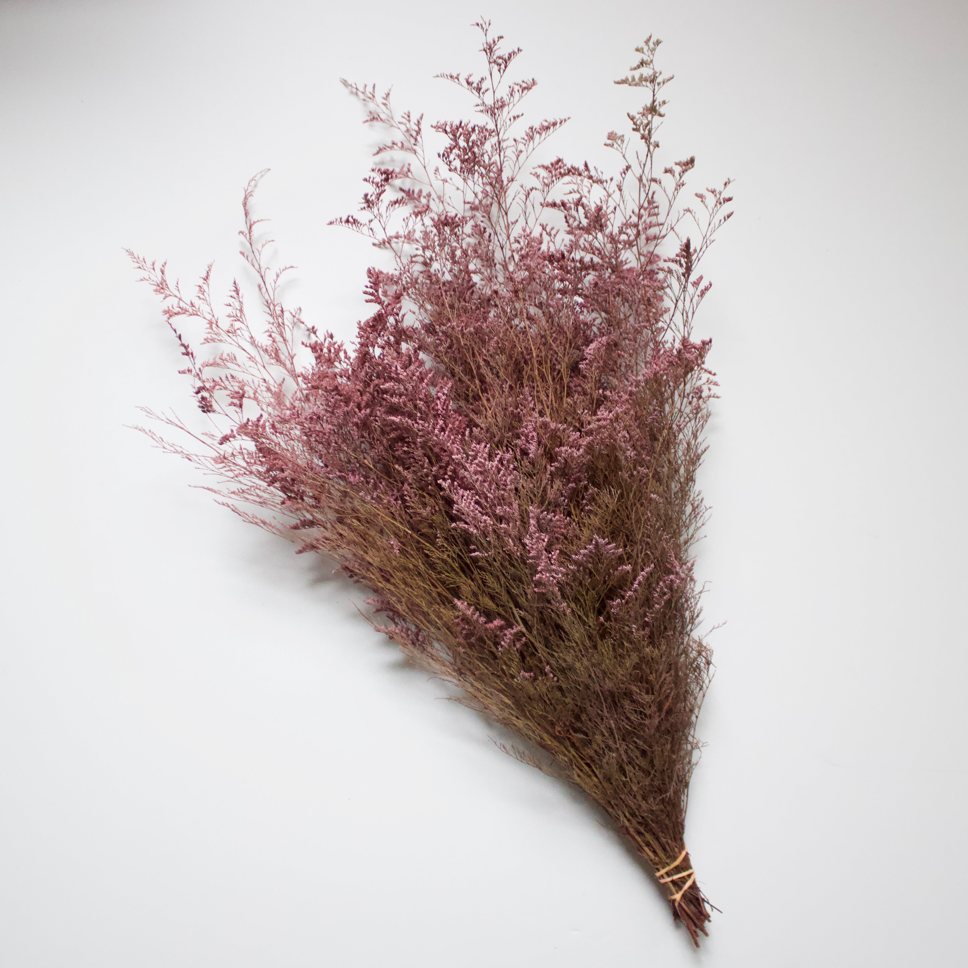 Preserved Foliage (Caspia/Limonium) Bunch in color "Pink"