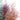 Preserved Foliage (Caspia/Limonium) Bunches - Green/White, Plum, Pink & Peach