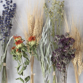 Caring for Dried Flowers: The Dos and Don’ts