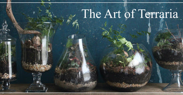 The Art of Terraria