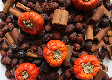 The Autumn Edit