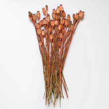 Load image into Gallery viewer, Poppies

