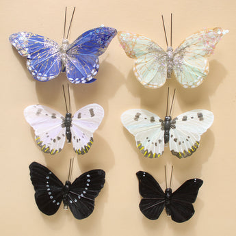 Butterfly Specimen Box
