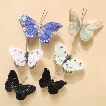 Butterfly Specimen Box