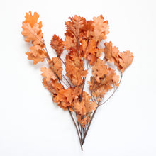 Load image into Gallery viewer, Preserved Orange Oak Leaves
