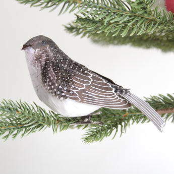 Feather Bird - Brown & White Spotted