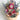 Strawflower Wall Basket