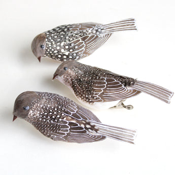 Feather Bird - Brown & White Spotted