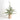 Faux Evergreen Tabletop Trees