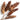 Dried Strobus Pine Cone on Stem