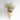 Fern Wall Basket