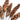 Dried Strobus Pine Cone on Stem