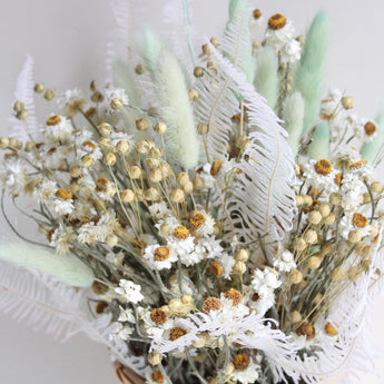 Fern Wall Basket