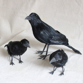 Feather Bird - Crow