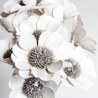 Dyed Sola Palm Belly Flower