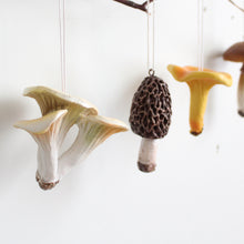 Load image into Gallery viewer, Ornament - Resin Mushroom
