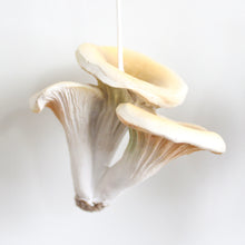 Load image into Gallery viewer, Ornament - Resin Mushroom
