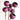 Dried Bell Cup on Stem