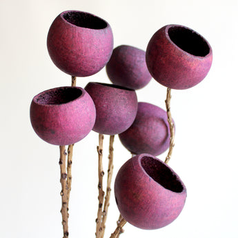 Dried Bell Cup on Stem