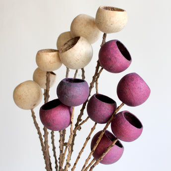 Dried Bell Cup on Stem