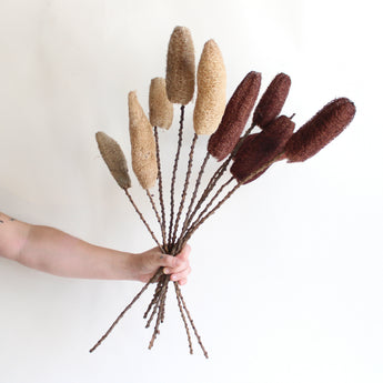 Dried Luffa