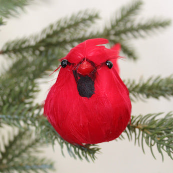 Feather Bird - Cardinal