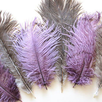 Ostrich Feather (9-12")
