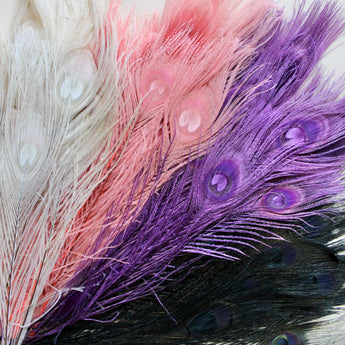 Peacock Feather - Dyed