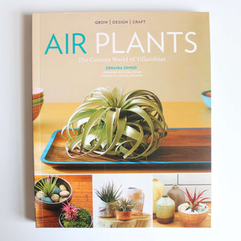 Air Plants - Curious World of Tillandsias