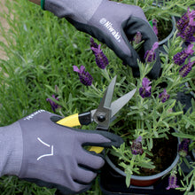 Load image into Gallery viewer, Gardening Gloves - Niwaki
