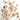 Dried Fennel