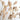Dried Fennel