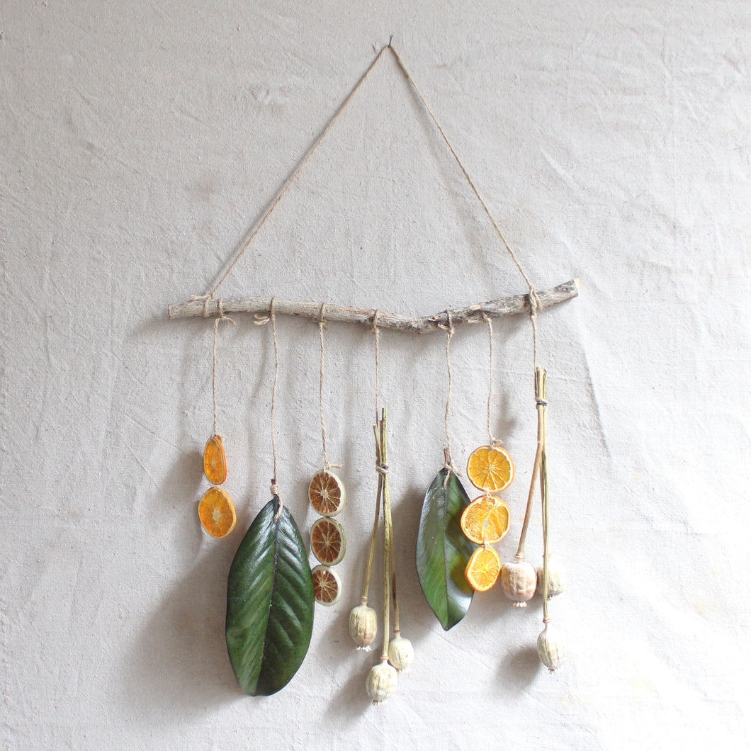 Fruit & Magnolia Hang Down
