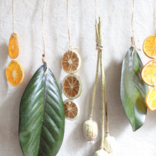 Load image into Gallery viewer, Fruit &amp; Magnolia Hang Down
