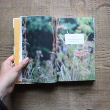 Load image into Gallery viewer, The Wild Bee Handbook: The Amazing Lives of Our Wild Species and How to Help Them Thrive
