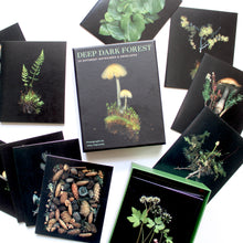 Load image into Gallery viewer, Deep Dark Forest Notecards &amp; Envelopes
