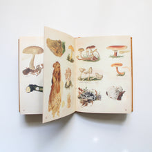 Load image into Gallery viewer, Fungi Collected in Shropshire and Other Neighborhoods: A Victorian Woman&#39;s Illustrated Field Notes
