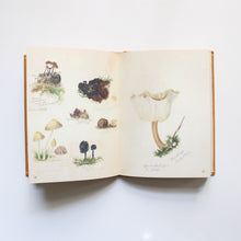 Load image into Gallery viewer, Fungi Collected in Shropshire and Other Neighborhoods: A Victorian Woman&#39;s Illustrated Field Notes
