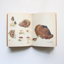 Load image into Gallery viewer, Fungi Collected in Shropshire and Other Neighborhoods: A Victorian Woman&#39;s Illustrated Field Notes
