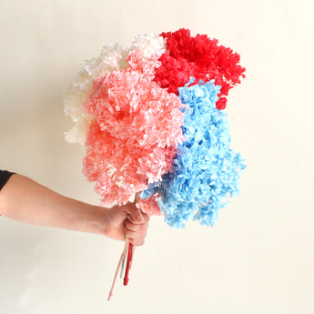 Preserved Annabelle Hydrangea