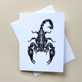 Emperor Scorpion Greeting Card