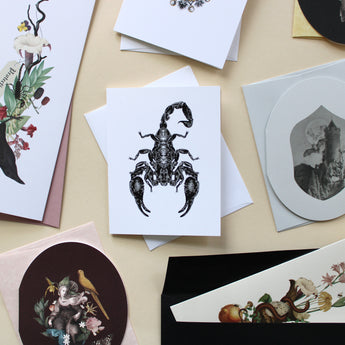 Emperor Scorpion Greeting Card