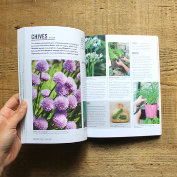 Grow Herbs: Essential Know-How and Expert Advice For Gardening Success
