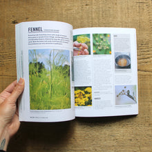 Load image into Gallery viewer, Grow Herbs: Essential Know-How and Expert Advice For Gardening Success
