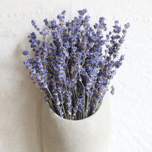 Load image into Gallery viewer, Lavender Wall Pocket
