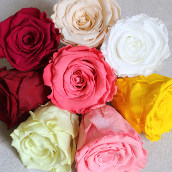 Preserved Rose 2.5"
